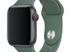 Curea iUni compatibila cu Apple Watch 1/2/3/4/5/6/7, 38mm, Silicon, Green/Turquoise